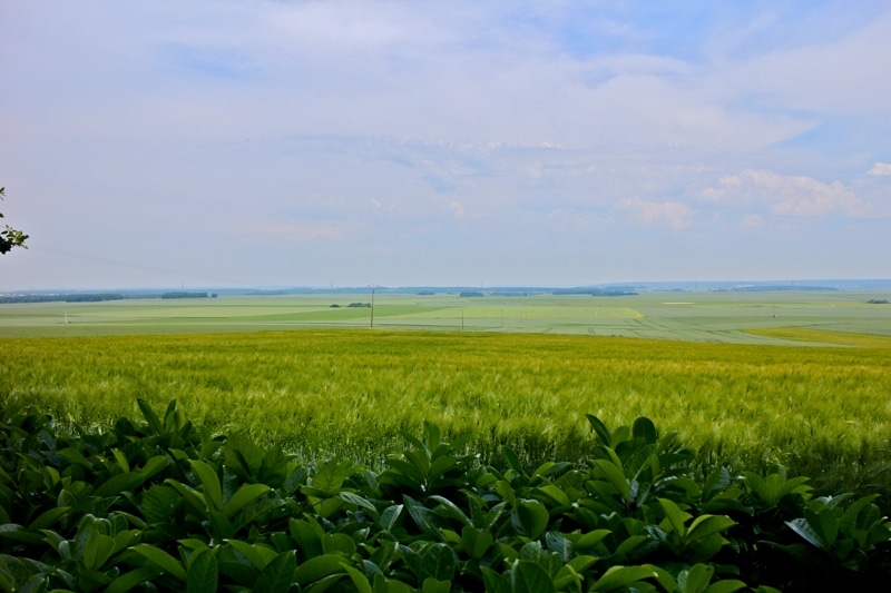 Exploitation agricole